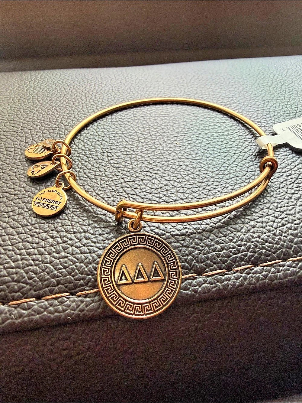 Alex and Ani Delta Charm Bangle Gold